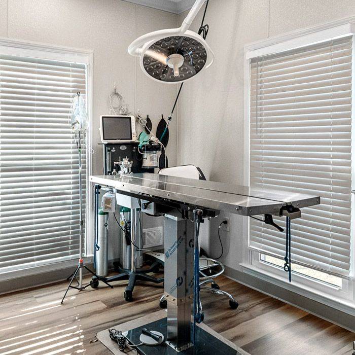 your friends at dacula animal hospital surgery room